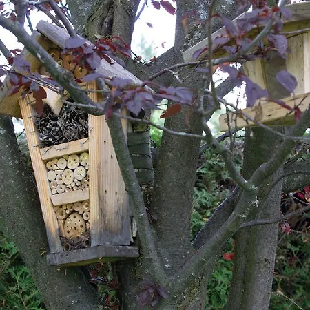 Landhaus Kirchmair Апартаменты *