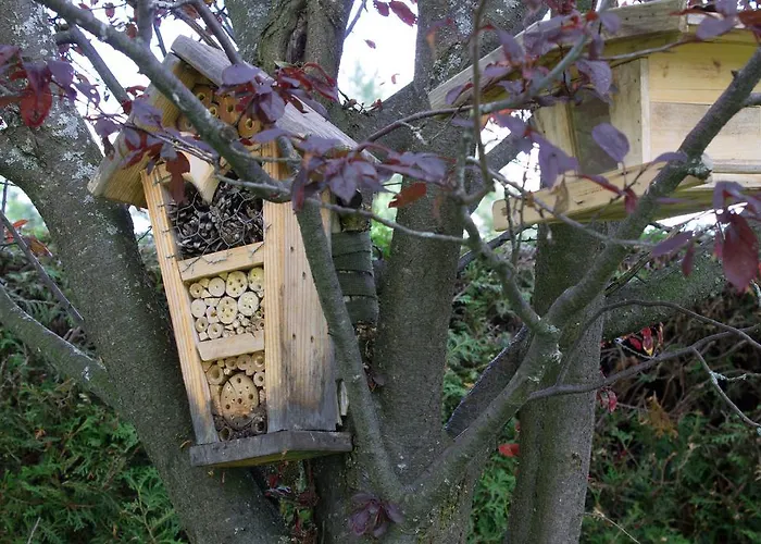 Landhaus Kirchmair Lägenhet *